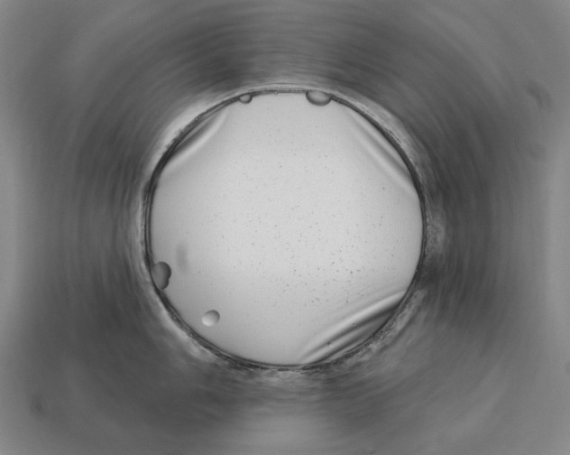 X0000113121006200909251109