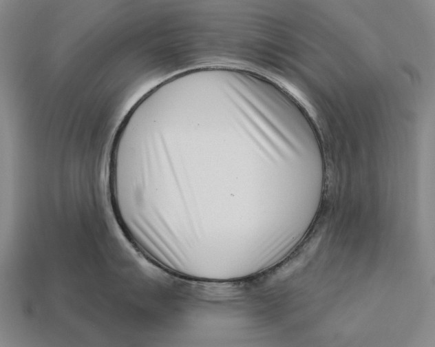 X0000113121007200909251109