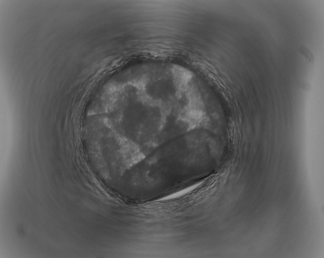 X0000113121009200909251108