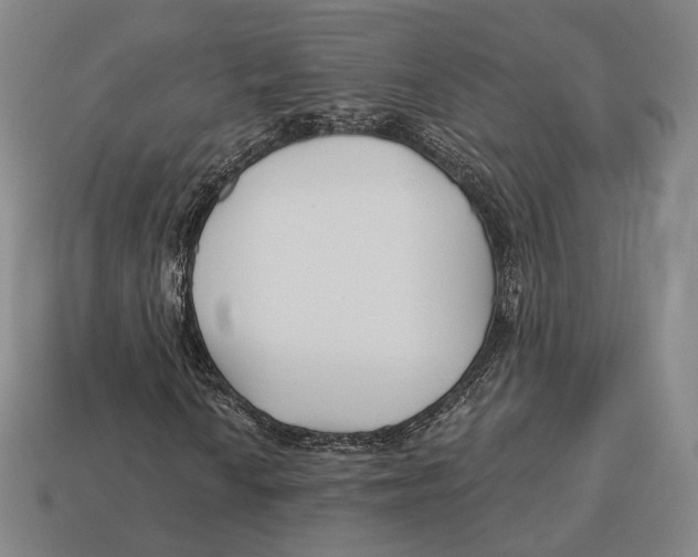 X0000113121010200909251108