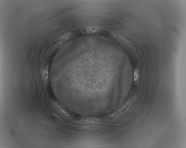 X0000113121011200909251108