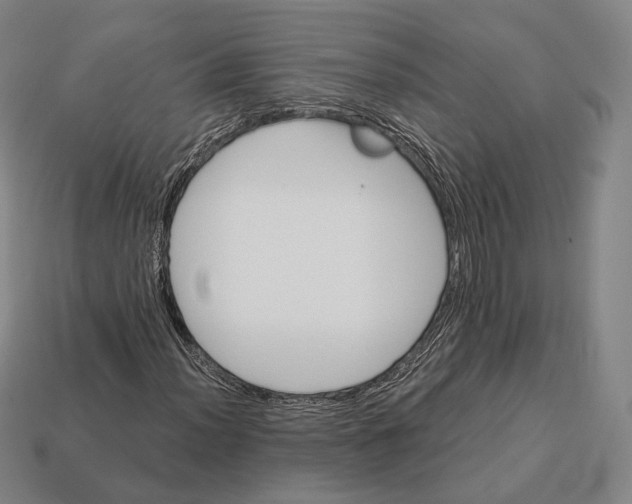 X0000113121012200909251108