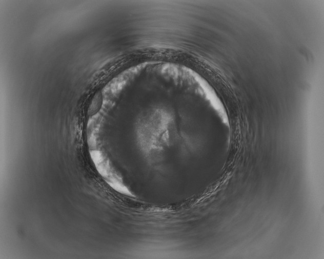 X0000113121013200909251108