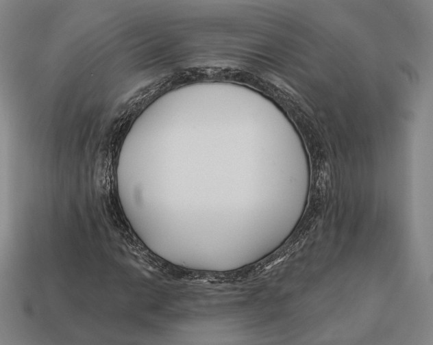 X0000113121014200909251108