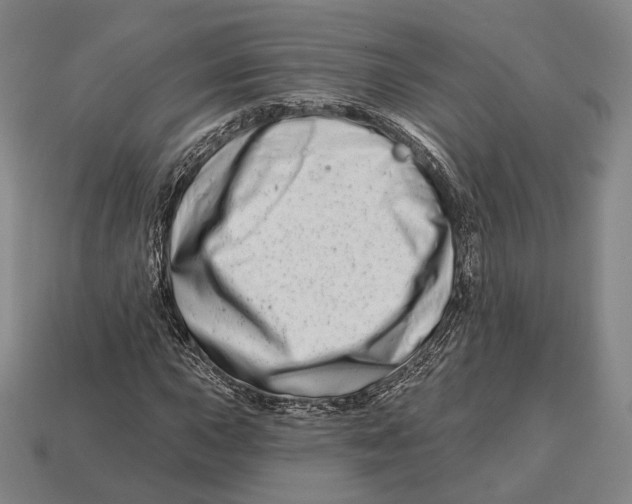 X0000113121015200909251108