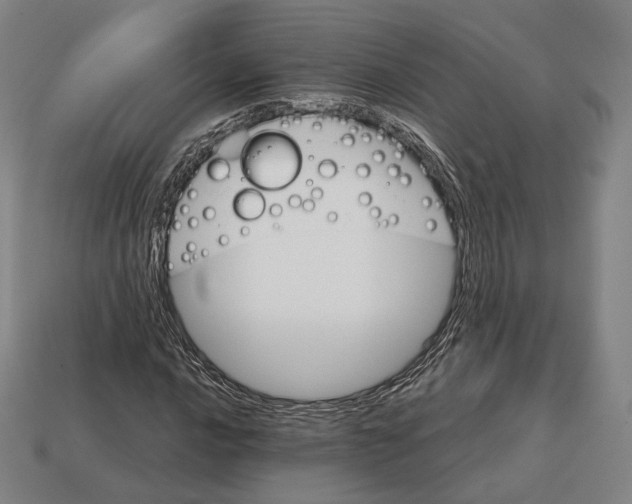 X0000113121016200909251108