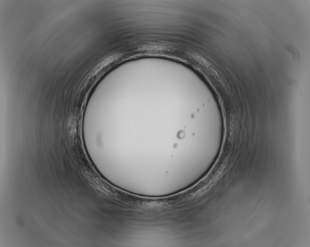X0000113121017200909251108