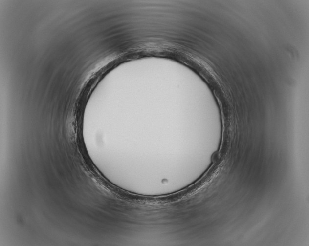X0000113121018200909251108
