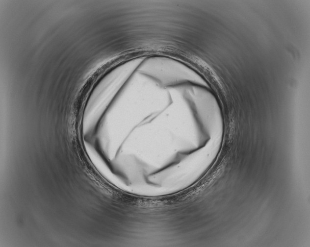 X0000113121019200909251108