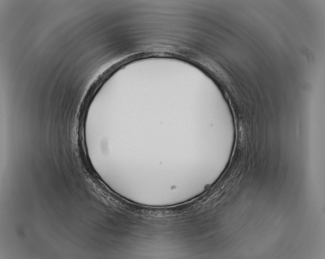 X0000113121020200909251108