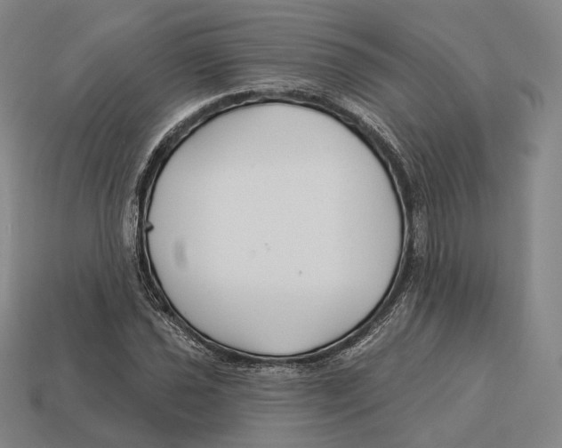 X0000113121021200909251108