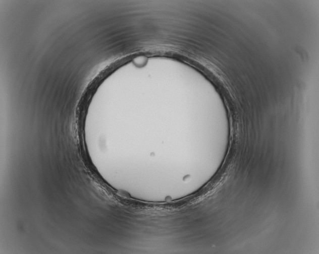 X0000113121022200909251108