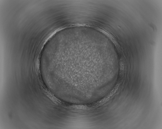 X0000113121023200909251108