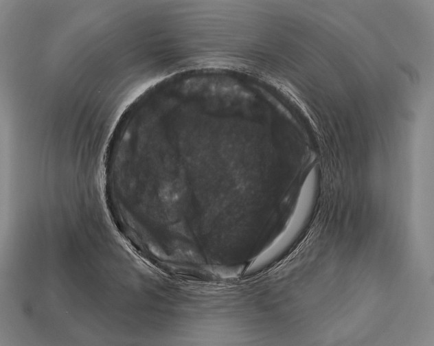 X0000113121024200909251108