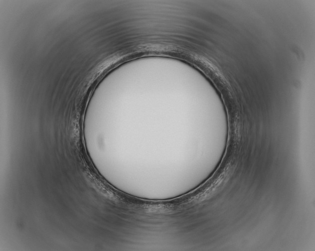 X0000113121025200909251108