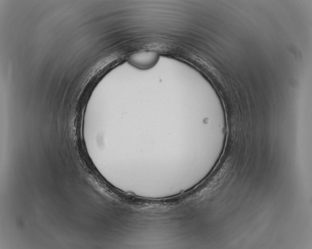 X0000113121026200909251108