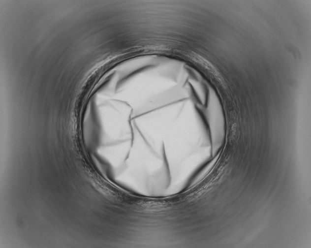 X0000113121027200909251108