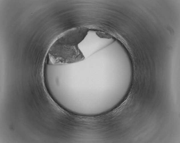 X0000113121028200909251108