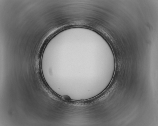 X0000113121029200909251108