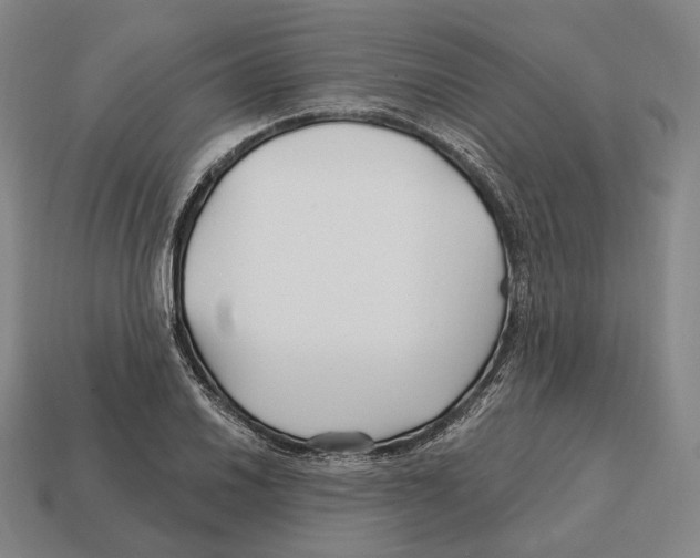 X0000113121030200909251108