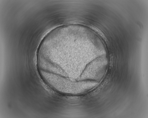 X0000113121031200909251108