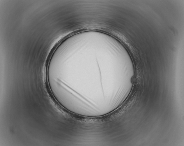X0000113121032200909251108