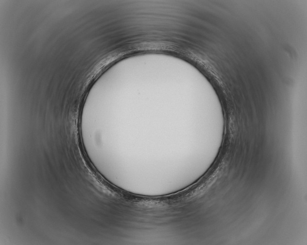 X0000113121033200909251108