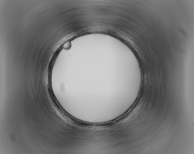 X0000113121034200909251108
