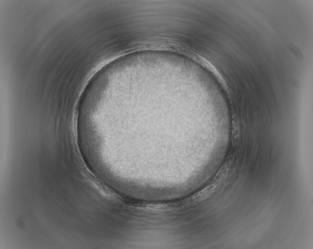 X0000113121035200909251108