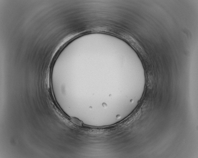 X0000113121036200909251108