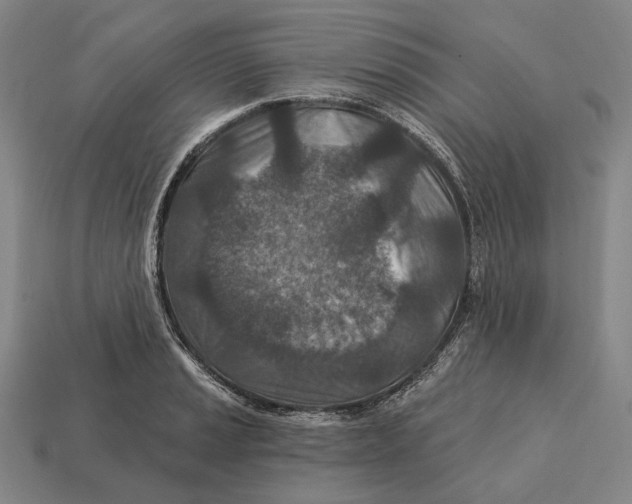 X0000113121037200909251108