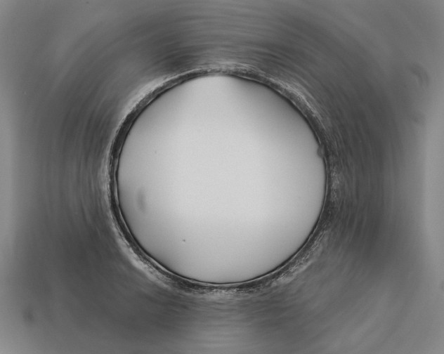 X0000113121038200909251108