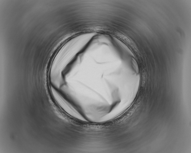 X0000113121039200909251108