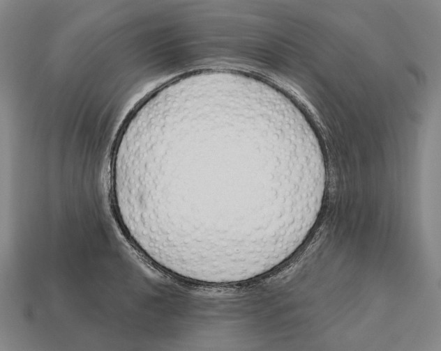 X0000113121040200909251108