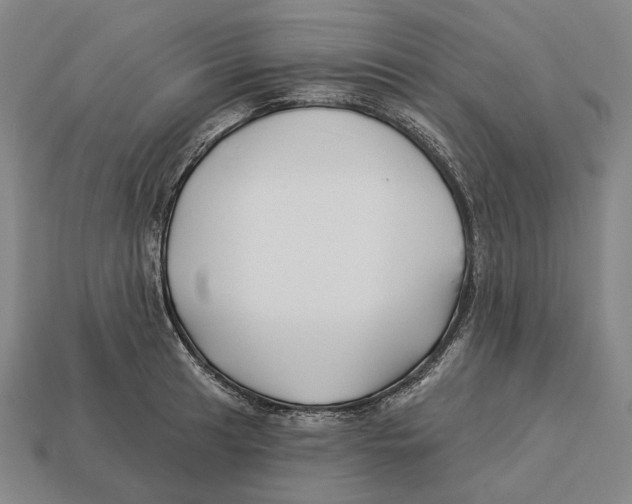 X0000113121041200909251108