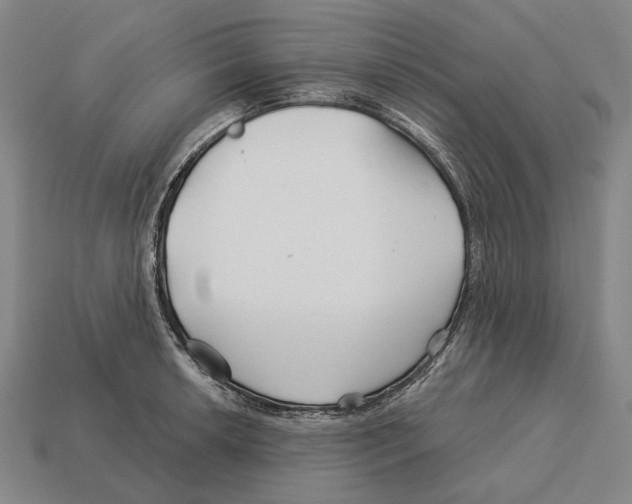 X0000113121042200909251108