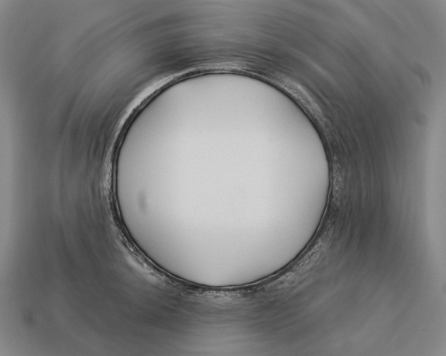 X0000113121044200909251109