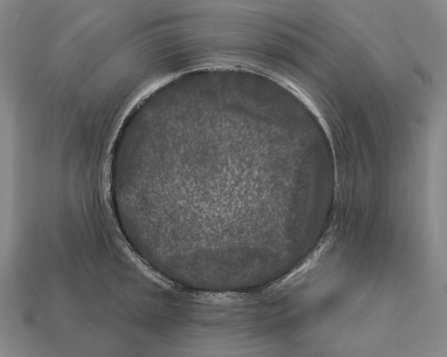 X0000113121045200909251109