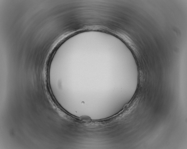 X0000113121046200909251109