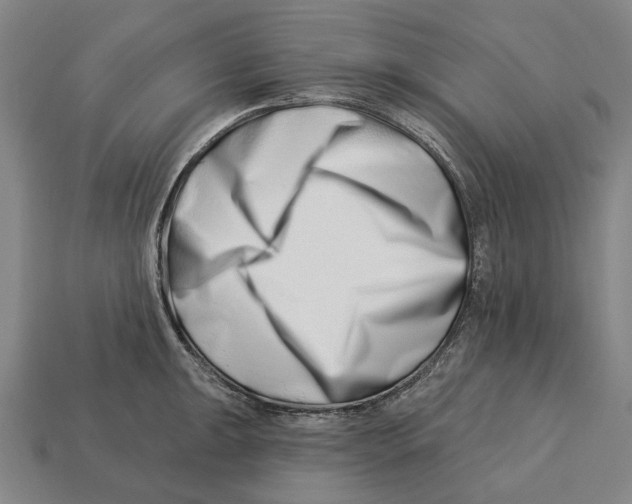 X0000113121047200909251109