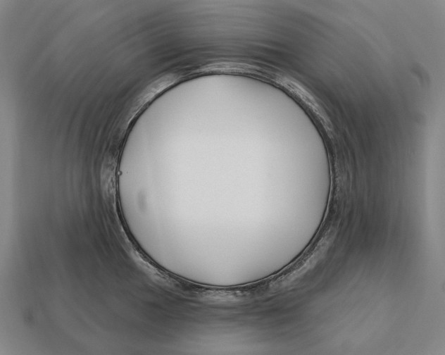 X0000113121049200909251109