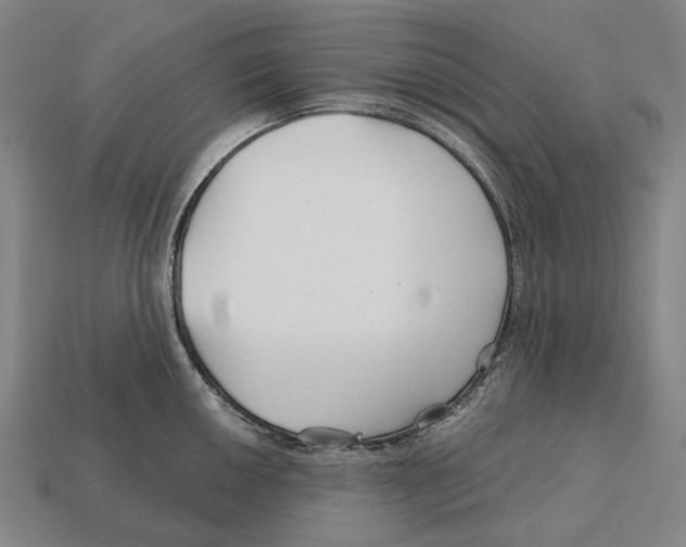 X0000113121050200909251109