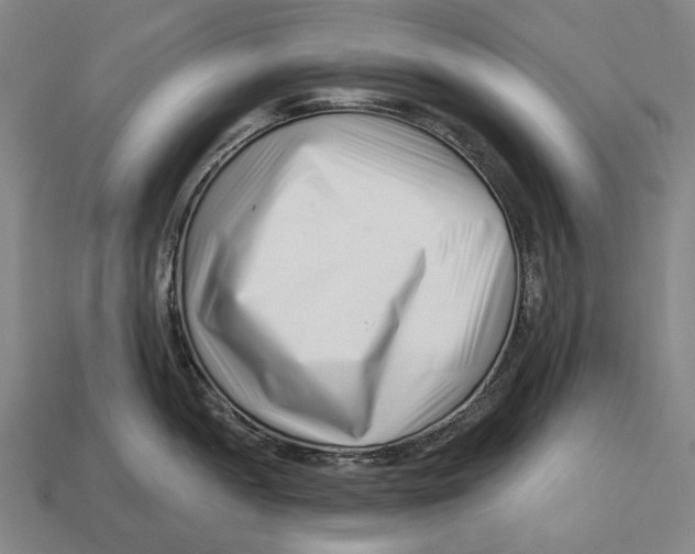 X0000113121052200909251109