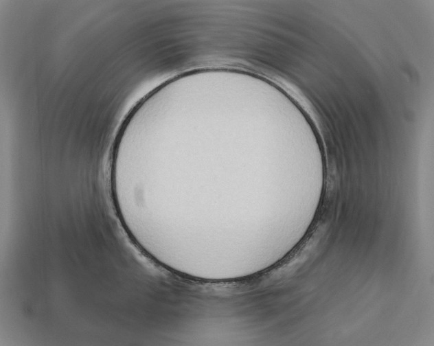 X0000113121053200909251109
