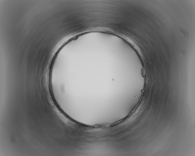 X0000113121054200909251109