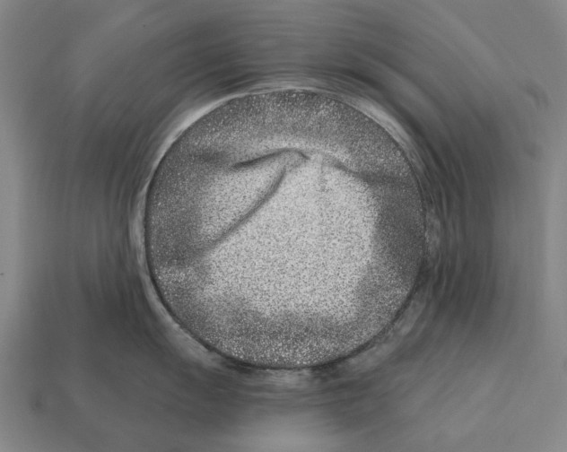 X0000113121055200909251109