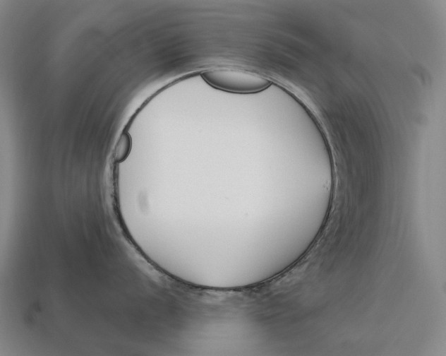 X0000113121056200909251109