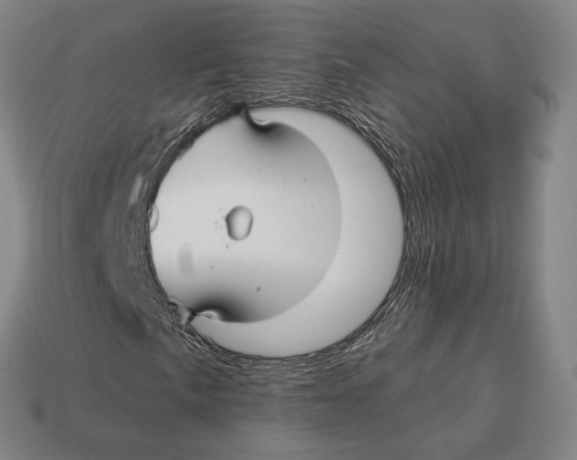 X0000113121057200909251108
