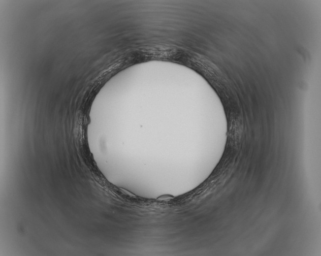 X0000113121058200909251108