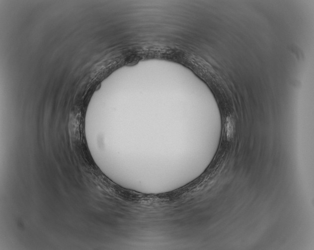 X0000113121059200909251108